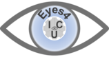 Logo: eyes4icu